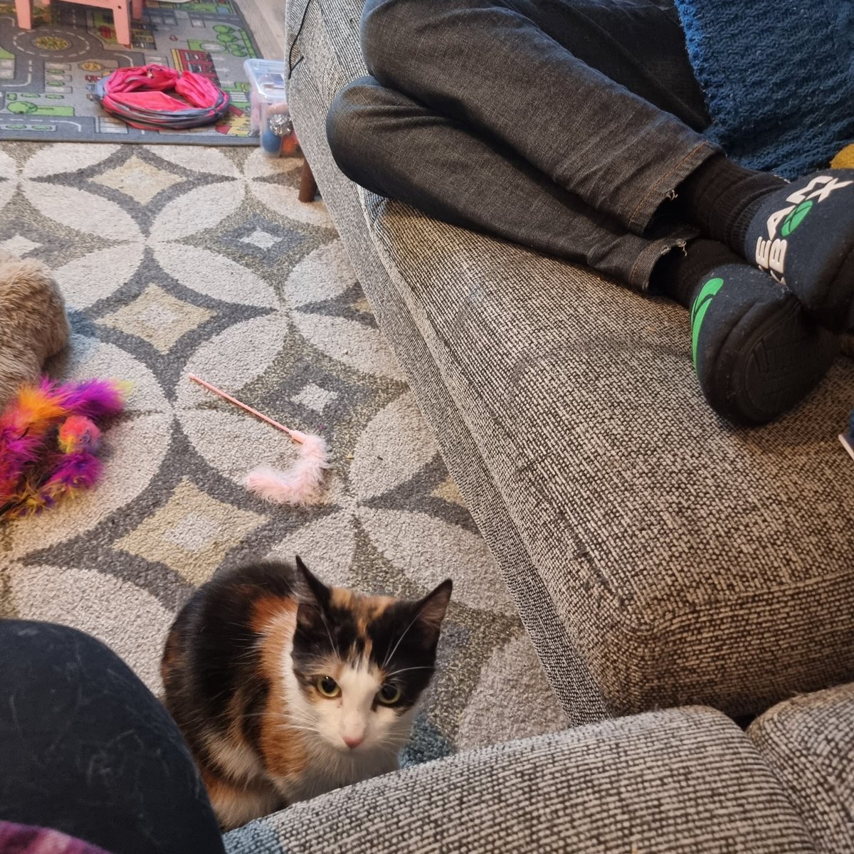 gryffenstrong's tweet image. It works with Dreamies!
#firstdayhome