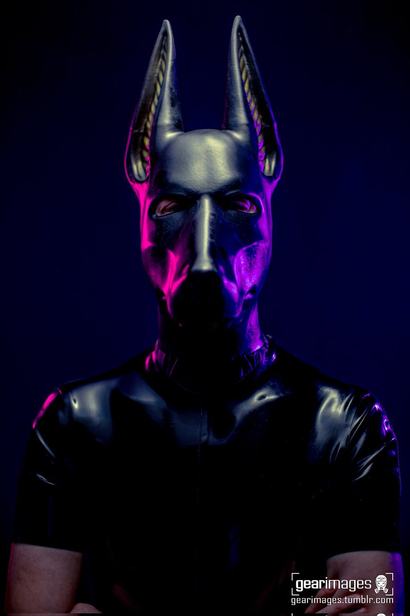 "Three Colours - Anubis"
.
Twitter: <a href="/Noweti/">Noweti / Deerweti</a>
.
#gear #gearphoto #gearphotography #anubis #jackal #rubberanubis #gearhead   #PointedEars