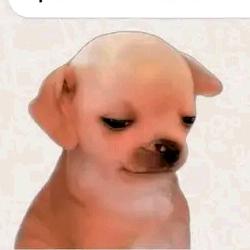 Quiero hacer edits cómo los de tiktok pero no sé editar, ni modos toca ver tutoriales