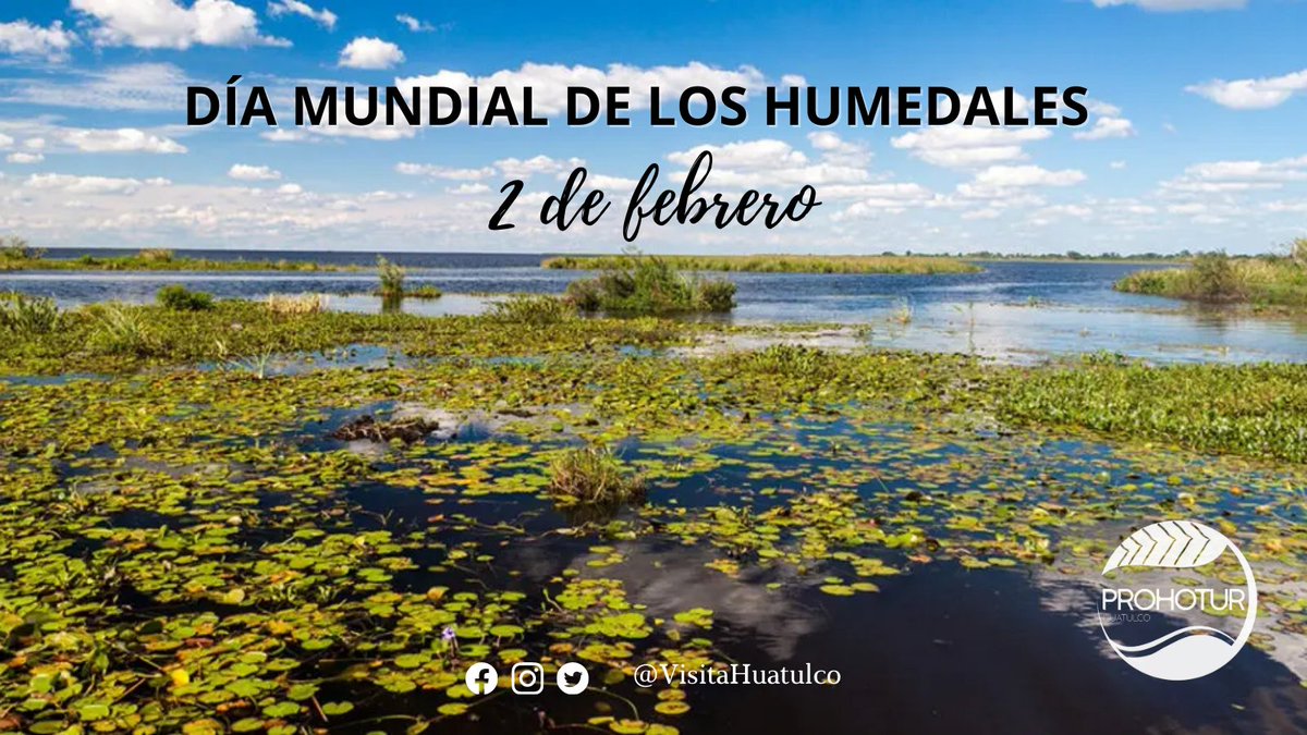 Promotores y Hoteleros Turísticos de la Costa tweet media