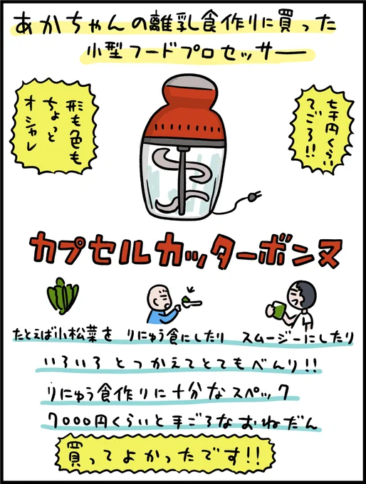 高価なブレンダーやミキサーなどもあるけど、ウチはこれで十分でした 