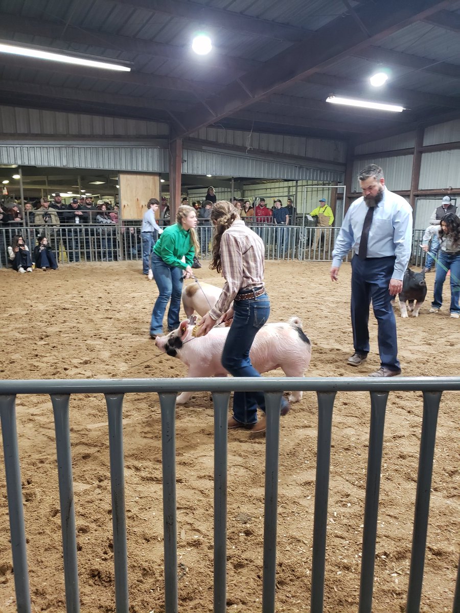 Ella P with the 6th place class 4 crossbred.