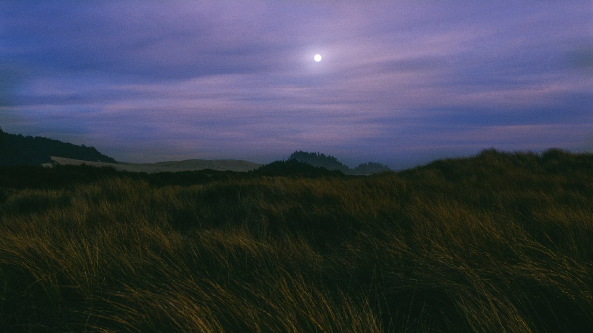 eamonsphotoss's tweet photo. as night falls https://t.co/seGVpnuqrV