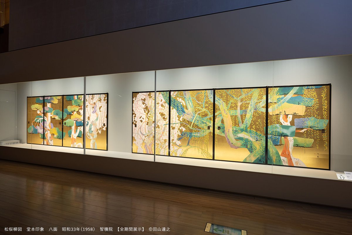 柳松図 ＼通常非公開！／ 吹き抜けの展示空間でひときわ目立つのが、堂本印象《松桜柳図 》。八面すべてが並ぶ姿は壮観ですが、制作から半世紀以上経過しているにもかかわらず、まるで昨日描いたかのような保存状態にも驚き！通常非公開の貴重な作品です  ...