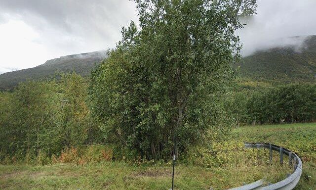 lost_journeys's tweet photo. I am around Oppdal, Norway now. https://t.co/7rMrPFkMH7 #lostjourneys https://t.co/nBzYLAYt5h