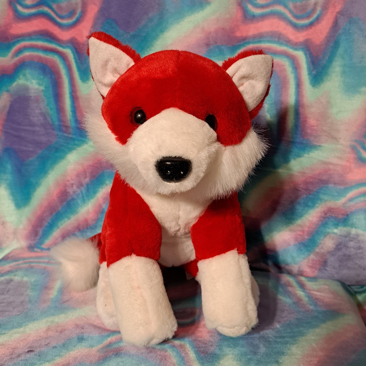 kylesplush's tweet photo. Meet the newest member of my plush family: Ketchup! He's even bigger than I expected; I love him!! ❤️ He came from @gaels_home! I absolutely recommend buying from them! They shipped Ketchup very fast and he arrived fast too! I also got a nice thank you note and some candy :D https://t.co/tsx7OgNoEj