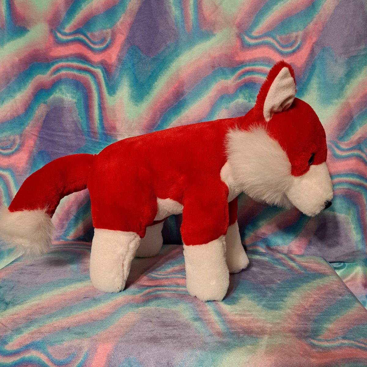 kylesplush's tweet photo. Meet the newest member of my plush family: Ketchup! He's even bigger than I expected; I love him!! ❤️ He came from @gaels_home! I absolutely recommend buying from them! They shipped Ketchup very fast and he arrived fast too! I also got a nice thank you note and some candy :D https://t.co/tsx7OgNoEj