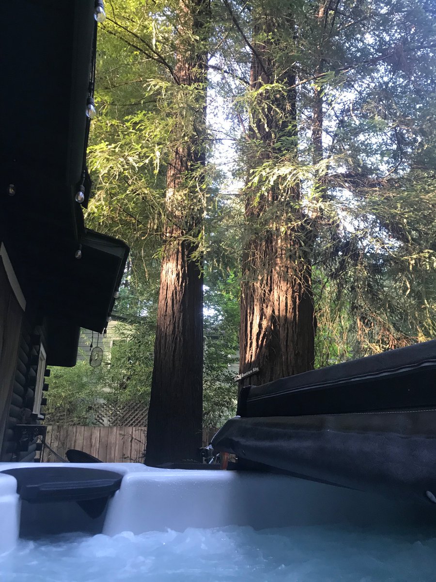 leghorn_'s tweet photo. @RipCityUltimate California Redwoods; recently! https://t.co/xl6hKlUTJv
