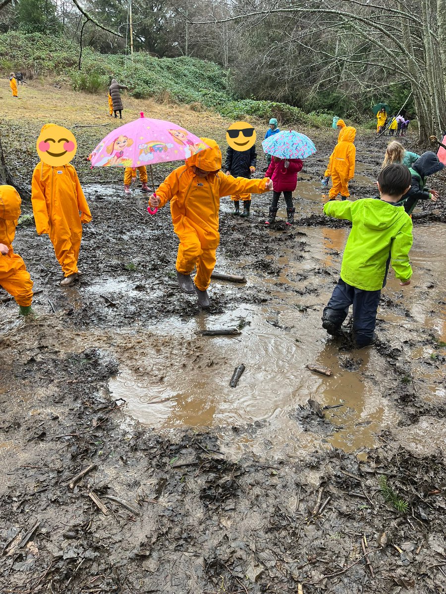 Nicole Banman tweet media