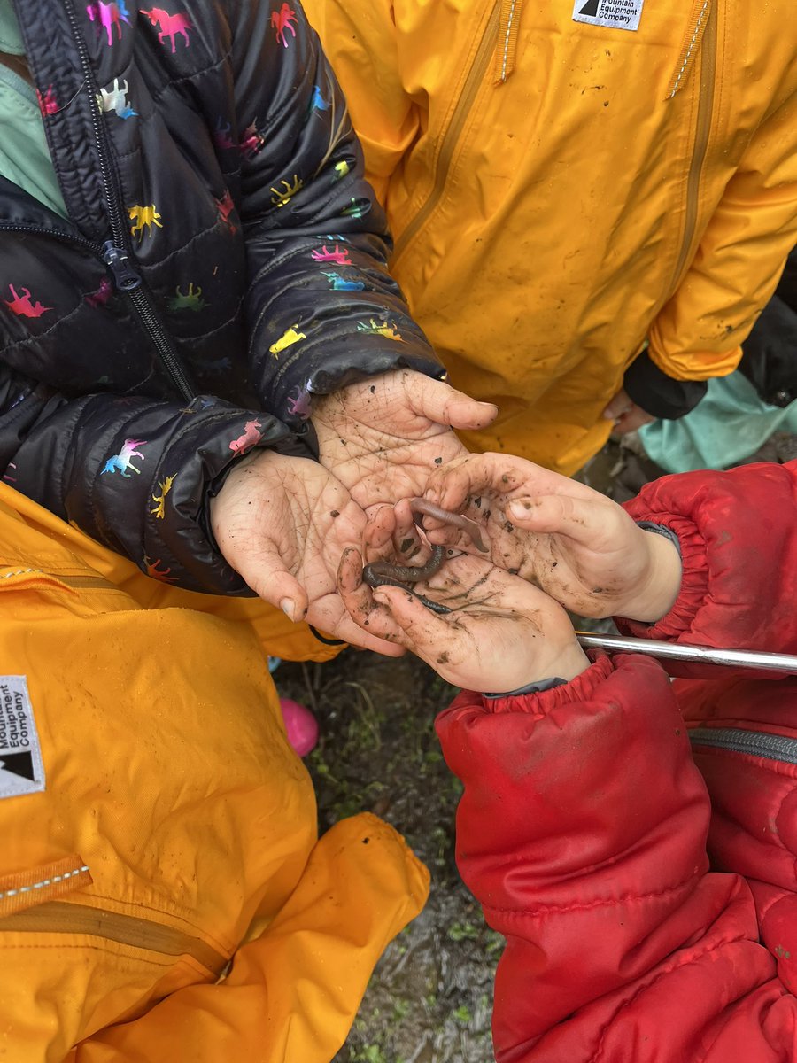 Nicole Banman tweet media