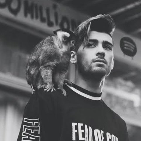 The man. The myth. The legend. 

Wishing you an amazing day today, tomorrow and always. Keep shining. ✨️ 
#HappyBirthdayZaynMalik