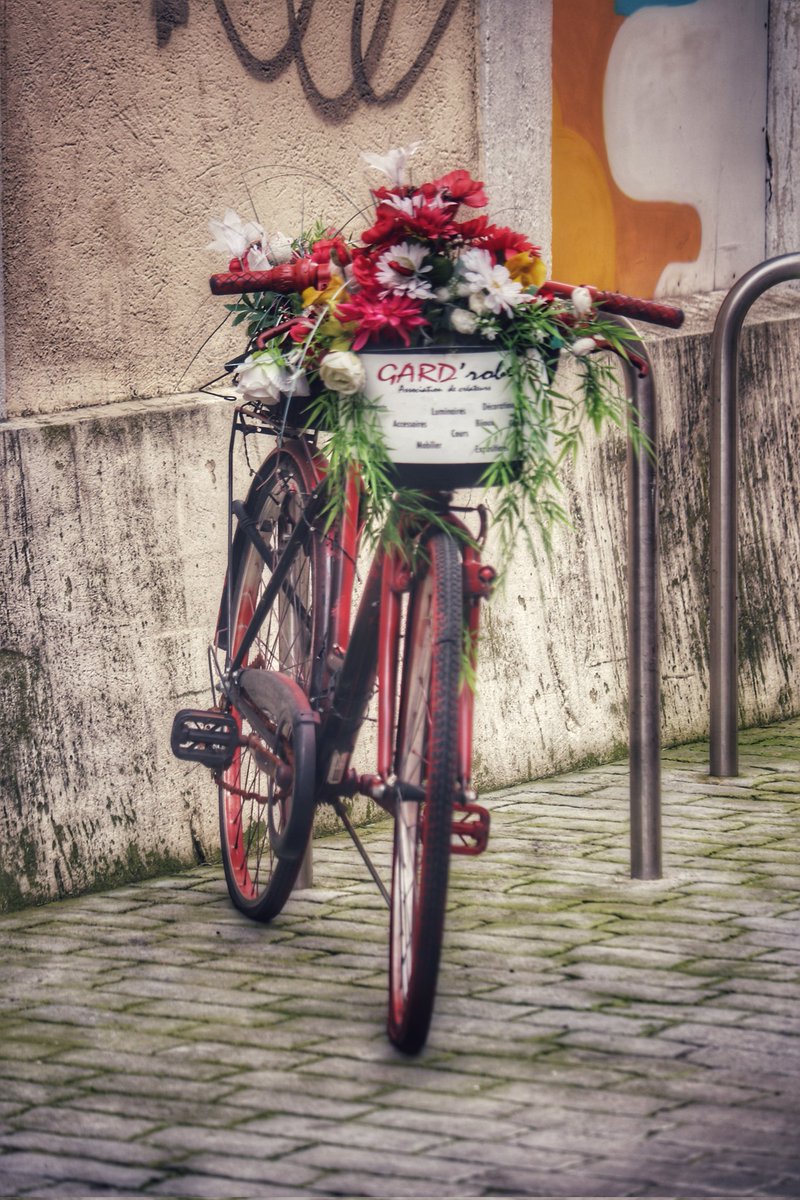 Côté glamour 🚲📷 #velovintage #vintagecycle #boutique #villedalès #ideedeco #vintagestyle #vintageshop #commerce #Gard #gardrobes #créateurs