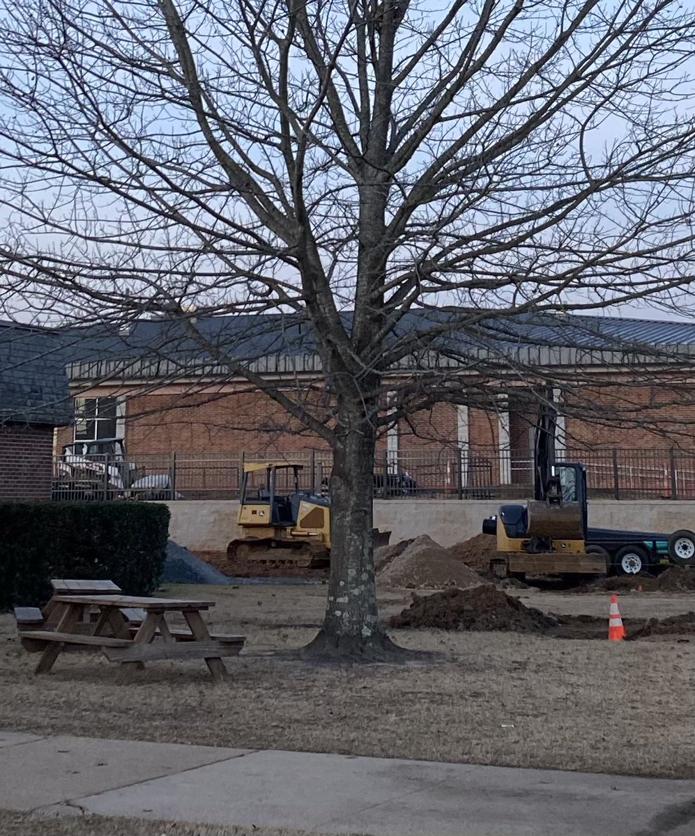 Jenny Marie Blalock, Ed. D tweet media