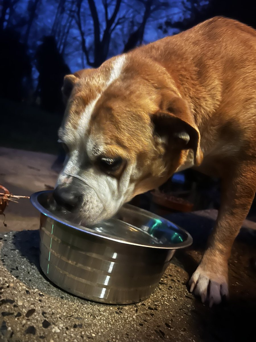 Andy Goh tweet media