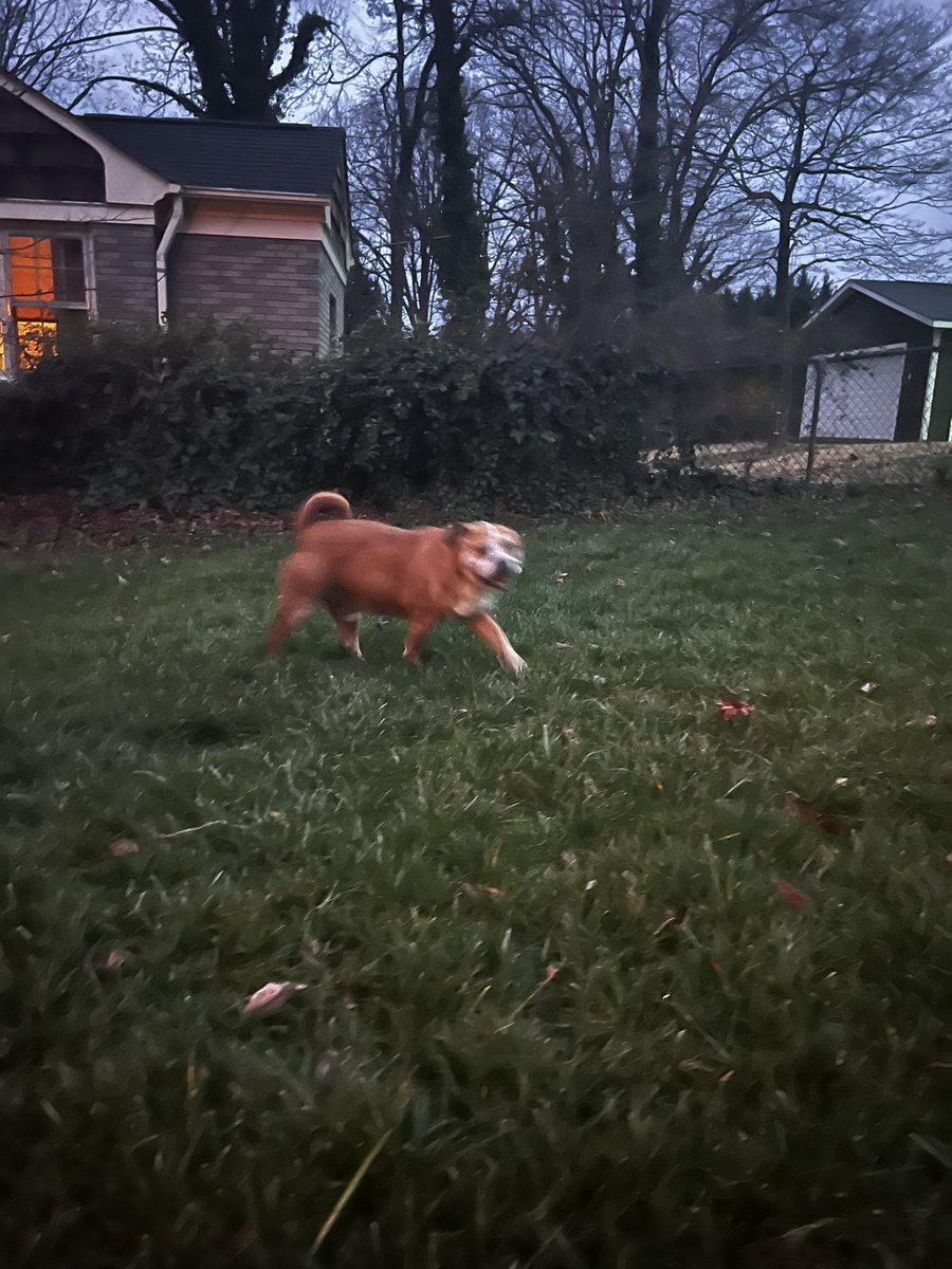 Andy Goh tweet media