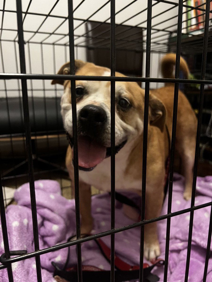 Andy Goh tweet media