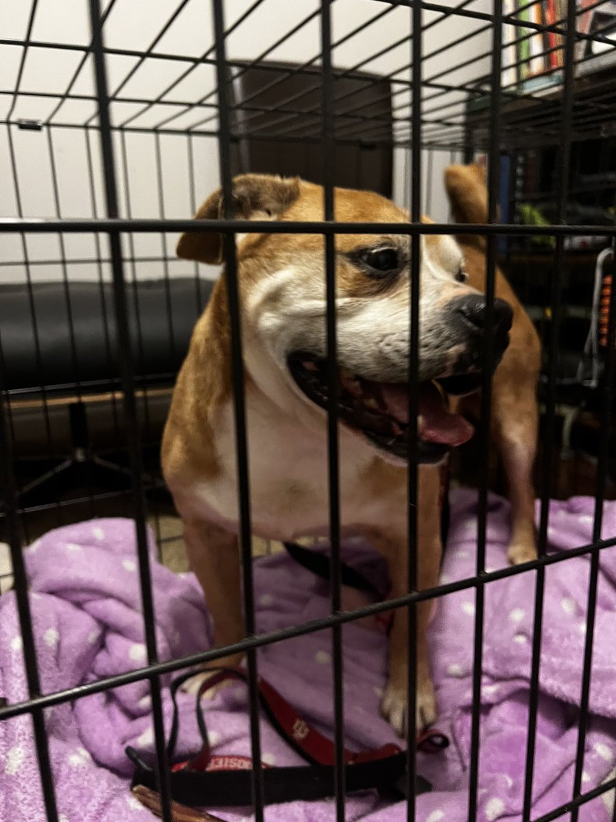 Andy Goh tweet media