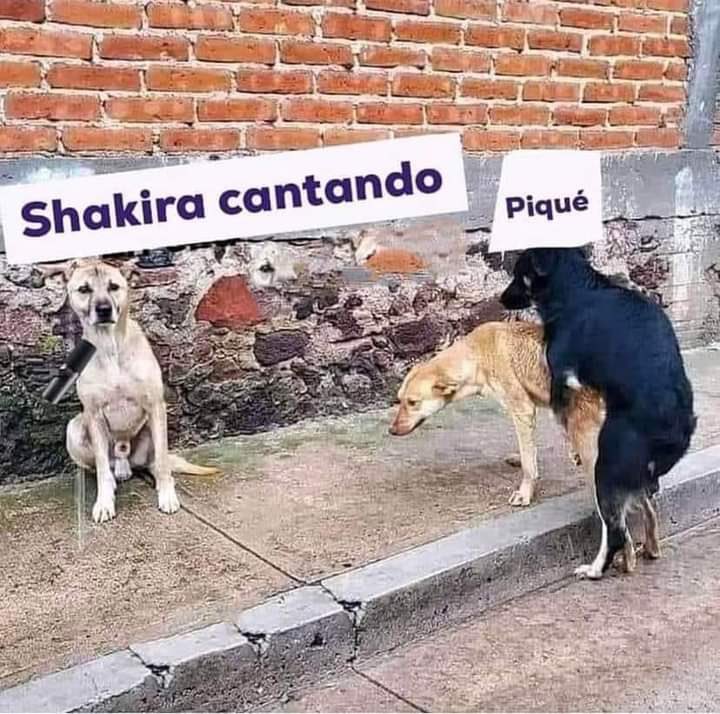 doriwan's tweet photo. @RodriMunozB https://t.co/Ld1f8Hss94