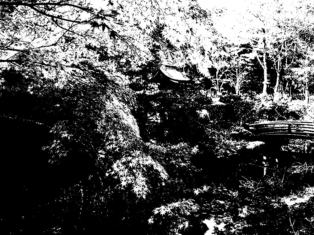 Stark Samurai ⛩️ tweet media