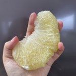 世界最大の柑橘類【晩白柚】。規格外の大きさにびっくり!