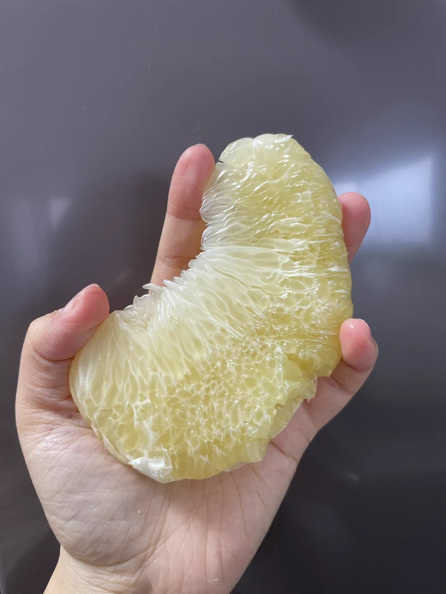 世界最大の柑橘類【晩白柚】。規格外の大きさにびっくり！