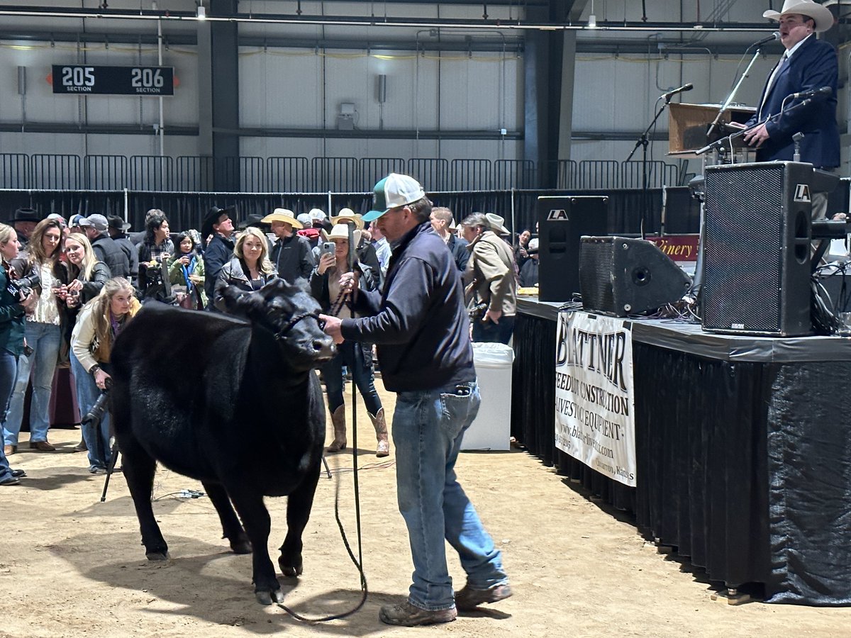 David Bauer tweet media