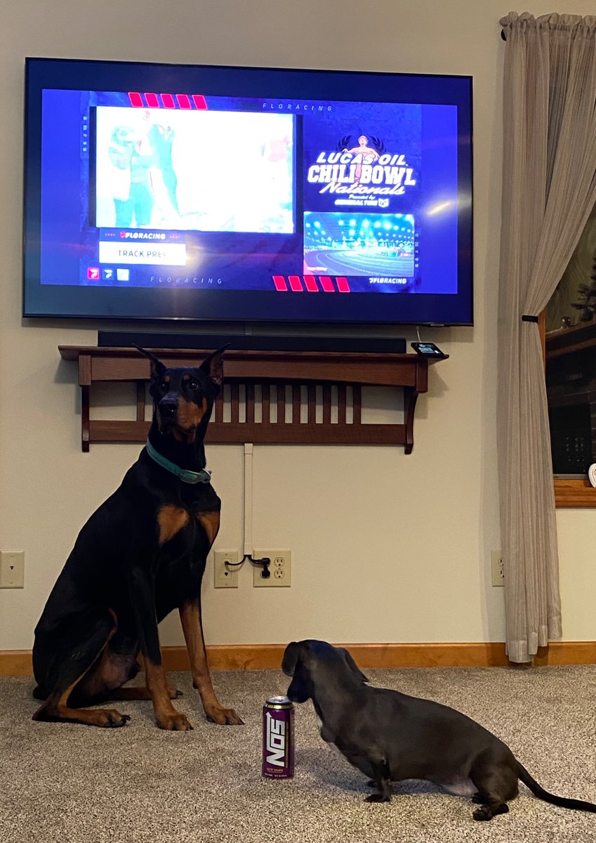 KBindycar's tweet photo. Hey Linus help me protect dads @NosEnergyDrink until he gets home
Thanks Peanut
@tweetyourfloseat #tweetyourfloseat https://t.co/wDg5jXBJV7