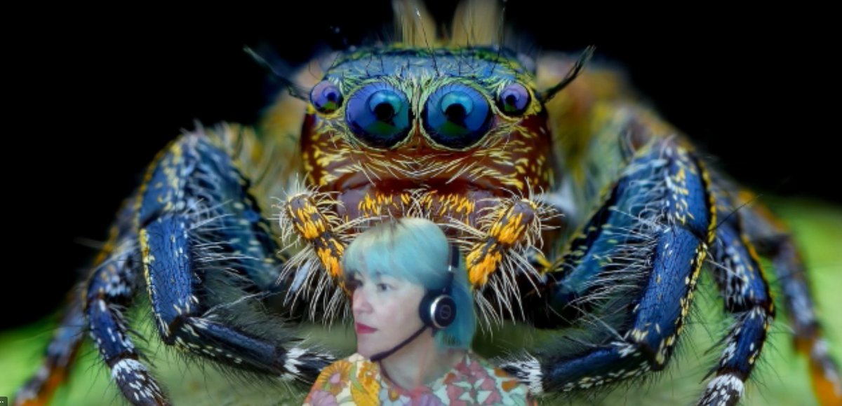 meeladavis's tweet photo. Celebrating Freaky Friday 13th via Teams with a GIANT SPIDER. 

(Was going to tag with # FreakyFriday, but it turns out that's all mature content, which was genuinely scary) https://t.co/03WTNPOtnc