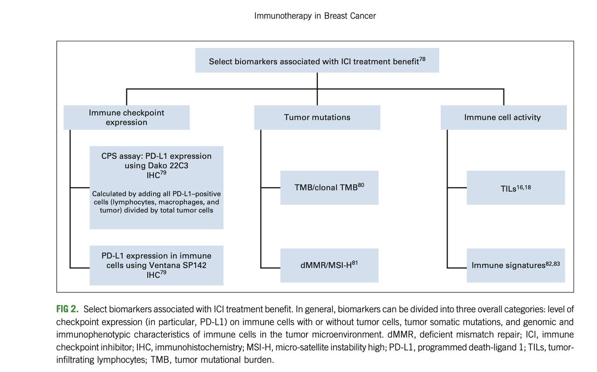 Jame Abraham, MD, FACP (@jamecancerdoc) on Twitter photo Role of Immunotherapy in #breastcancer ascopubs.org/doi/pdf/10.120… <a href="/JCOOP_ASCO/">JCO Oncology Practice</a> <a href="/JCO_ASCO/">Journal of Clinical Oncology</a> Excellent review article by <a href="/hoperugo/">Hope Rugo</a> <a href="/OncoAlert/">OncoAlert</a> Role of Immunotherapy in #breastcancer ascopubs.org/doi/pdf/10.120… <a href="/JCOOP_ASCO/">JCO Oncology Practice</a> <a href="/JCO_ASCO/">Journal of Clinical Oncology</a> Excellent review article by <a href="/hoperugo/">Hope Rugo</a> <a href="/OncoAlert/">OncoAlert</a>