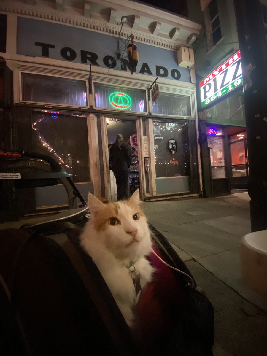 goat_of_cats's tweet photo. Y’all got churu on tap???? #Toronado #catsofSF https://t.co/5V5PTCNcfE