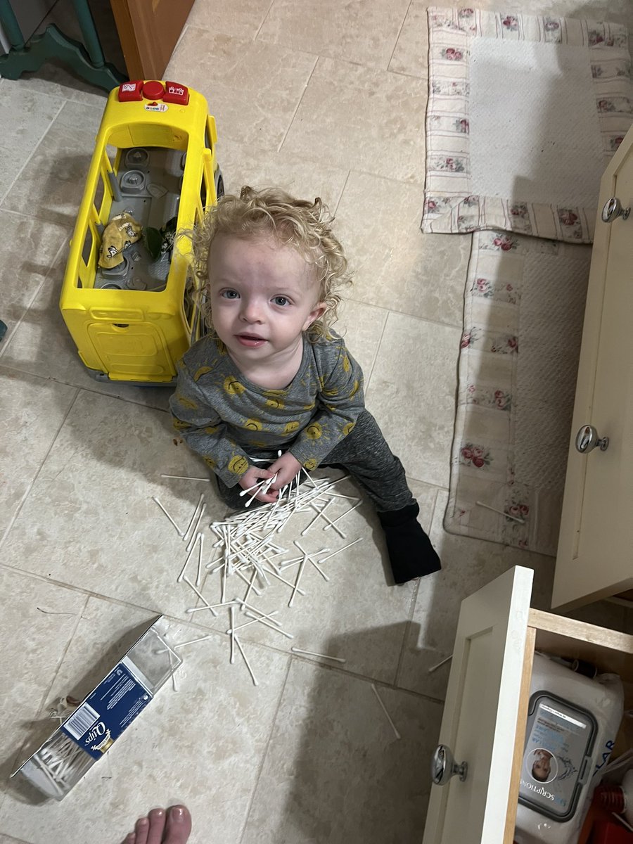 kelsey dutton tweet media