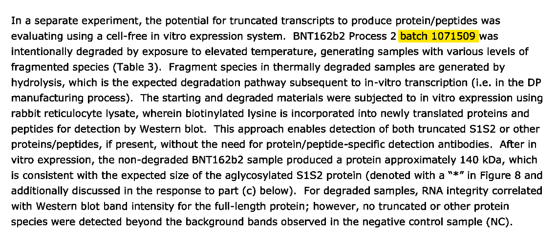 Jikkyleaks's tweet image. Is the next scandal from #blotgate - #batchgate?
I can't find a record of "batch 1071509" anywhere else.
It was conveniently used for the ONLY real Western blot in the EMA protein analysis. 
Is it another "special batch" to bamboozle the regulators, who didn't care anyway?