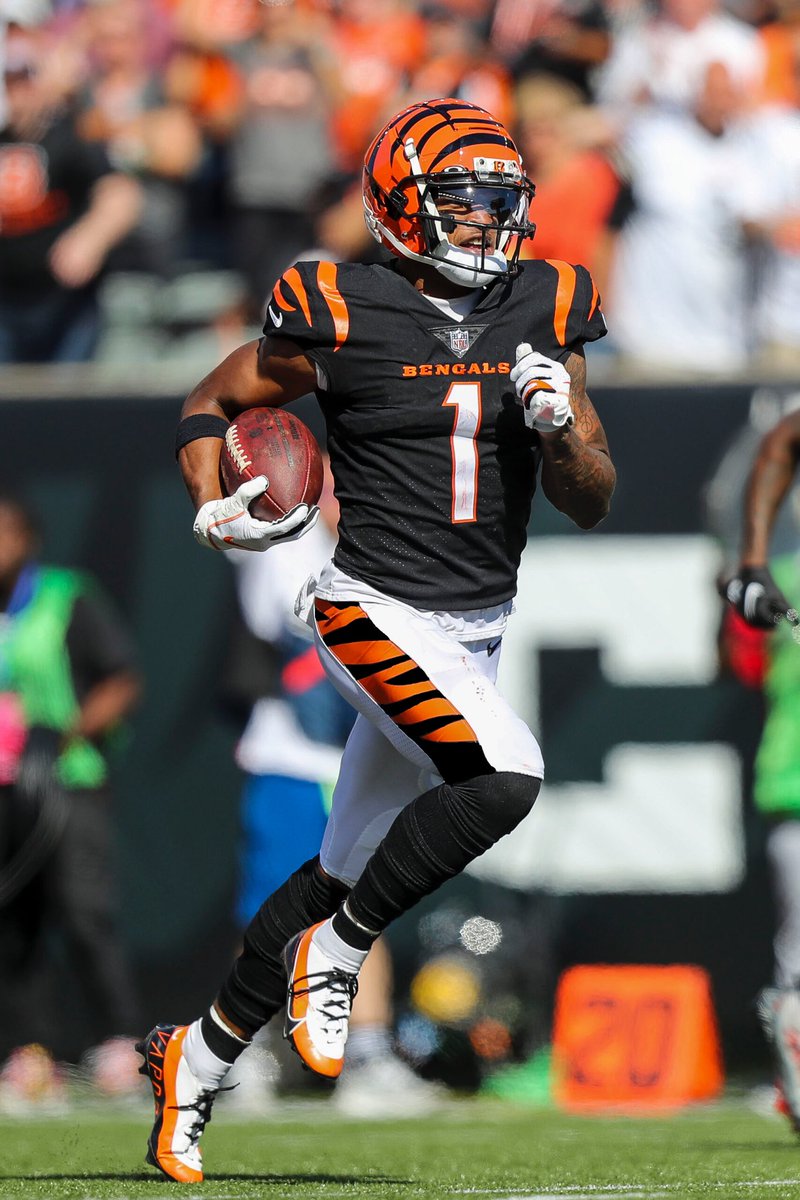 Bengals Ben 🐅 tweet media