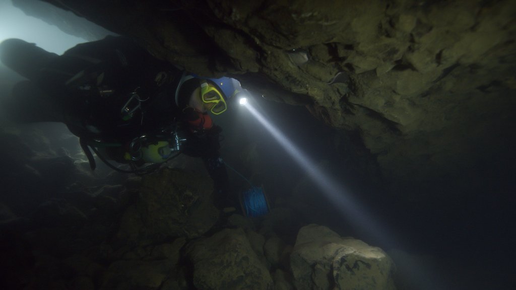 austinfilm's tweet photo. The 2018 story of the harrowing cave rescue of a rural Thai boys soccer team, AFS presents a screening of acclaimed documentary THE RESCUE, Saturday, Jan. 14, followed by a Q&amp;A with one of the leading civilian divers involved in the rescue, Rick Stanton.
https://t.co/iwtWk7HqVD https://t.co/HuHbOeo3Bv