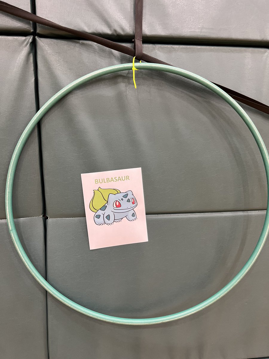 2nd and 3rd Grade are overhand throwing today. The lesson focus was throwing with force. As we practiced throwing with force against the wall, they had a chance to catch ‘em all! #physed @MrKuchJeff