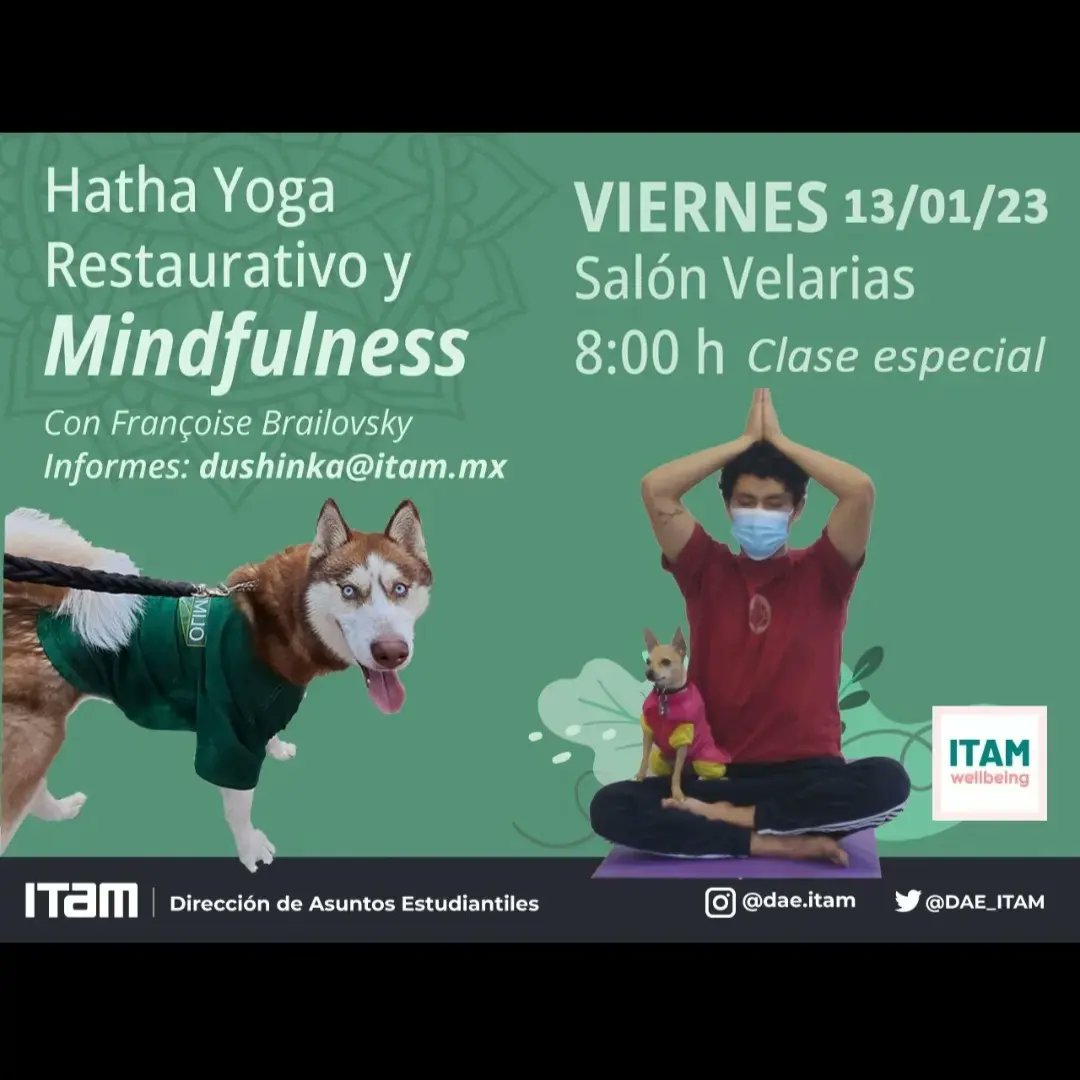 DAE_ITAM's tweet photo. El Programa #ITAMwellbeing te invita a la #ClaseEspecial de 🕉🧘🏽🐺🐶🐶 Hatha Yoga Restaurativo y Mindfulness con #ColmilloITAM y #Chihuahuas
Con @YoginiFran
🗓️MAÑANA 13 de enero
⏰8:00 am
📍Salón #Velarias
#DAE @ITAM_mx - Subdirección de Bienestar Integral https://t.co/hvFFeE7LhT