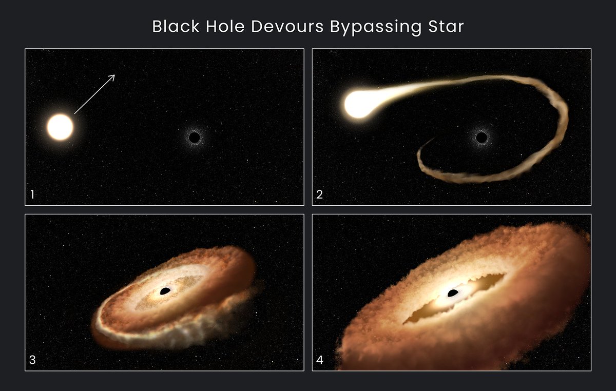 NASAExoplanets's tweet photo. Know anyone like this?
Black holes lie in wait until a hapless star wanders by. When the star gets close enough, the black hole's gravitational grasp violently rips it apart and sloppily devours its gasses while belching out intense radiation. https://t.co/eEnFwkaPTj https://t.co/Ja7GsdjpZq