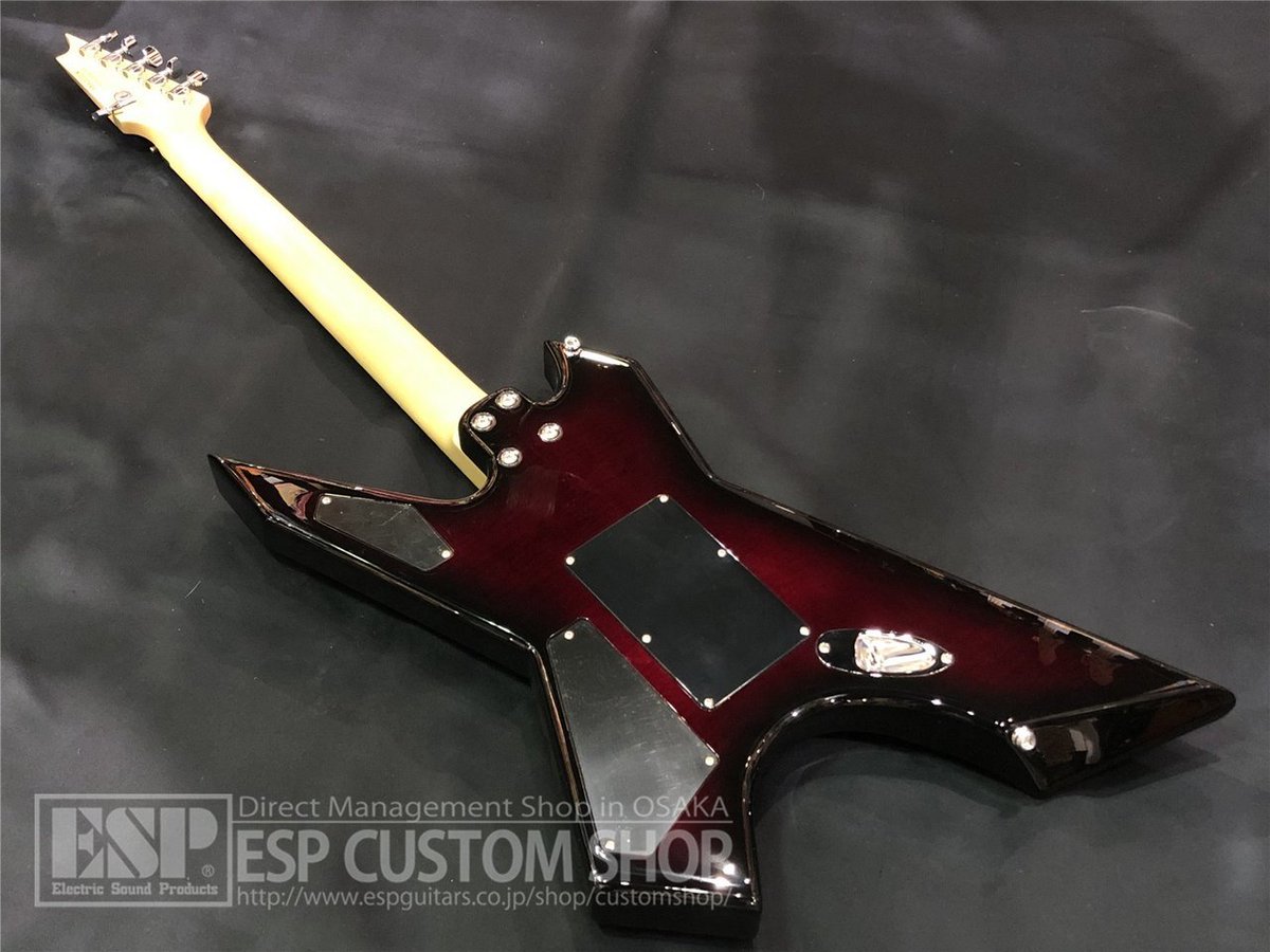 espcustomshop's tweet image. 【商品情報！】#Killer KG-Exploder II Flame Top Wine Red Sunbust

KG-Exploderのフレイムメイプルトップを採用した後継モデル！

詳細・ご注文は→digimart.net/cat01/shop344/…

#Exploder #ギター #楽器 #楽器屋