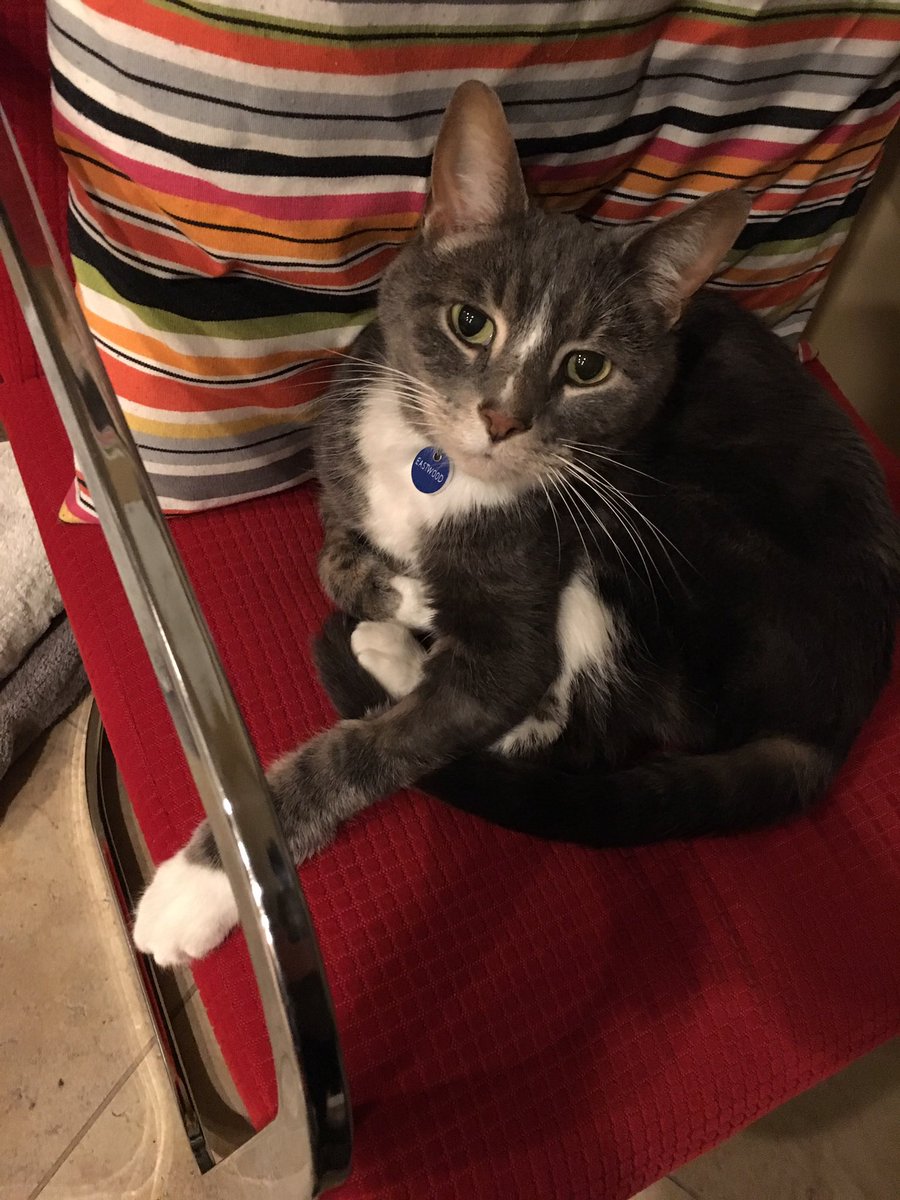 Nancy Ross Dribin tweet media