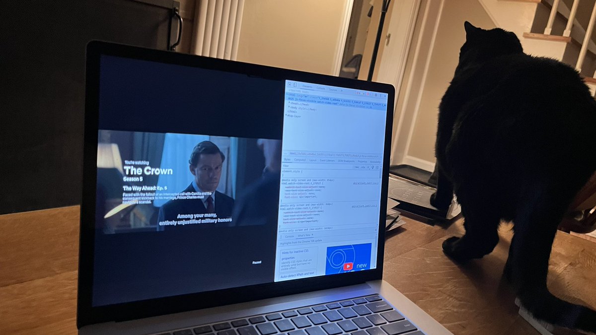 ianhillmedia's tweet image. My cat opened DevTools on Netflix while we were watching “The Crown.”  AMA. 

#catsofmastodon #kittehs #cute #cats