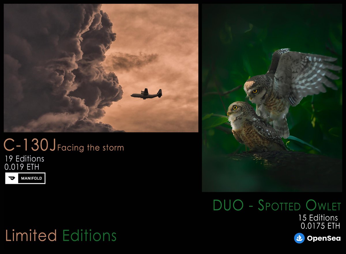 2 of my Limited Editions that are now live 

1. C-130J - Facing The Storm 
🛩️ 19 Editions
🛩️ 0.019 $ETH
🛩️ on <a href="/manifoldxyz/">manifold.xyz</a> 

2. Duo - Spotted Owlet 
🦉 15 Editions (11 Available)
🦉 0.0175 $ETH
🦉 on <a href="/opensea/">OpenSea</a> 

Link in 🧵