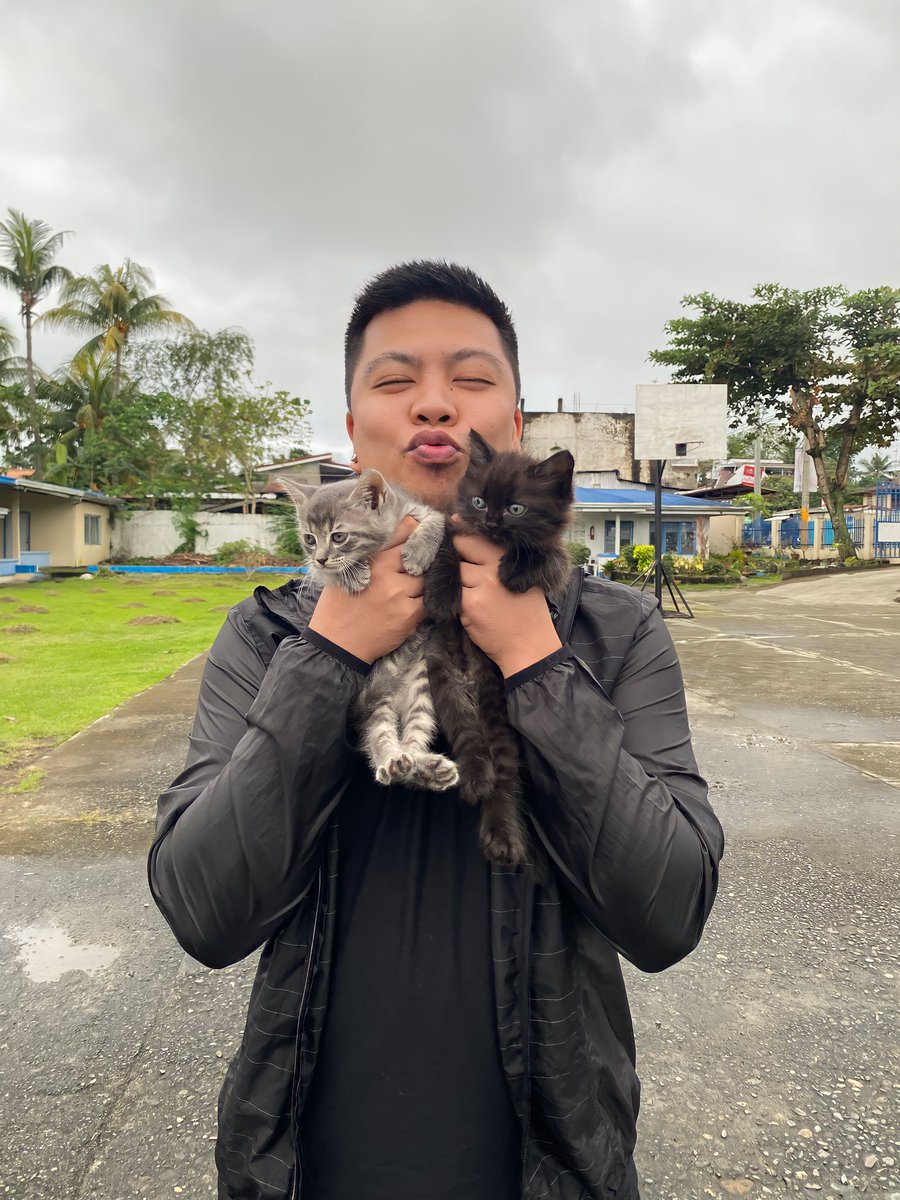 iamclintgerald's tweet photo. Cats are connoisseurs of comfort. - James Herriot

#Bebe #Potchi #ButchJoy #catlover #pawsandclaws https://t.co/qtbCfdJMFq