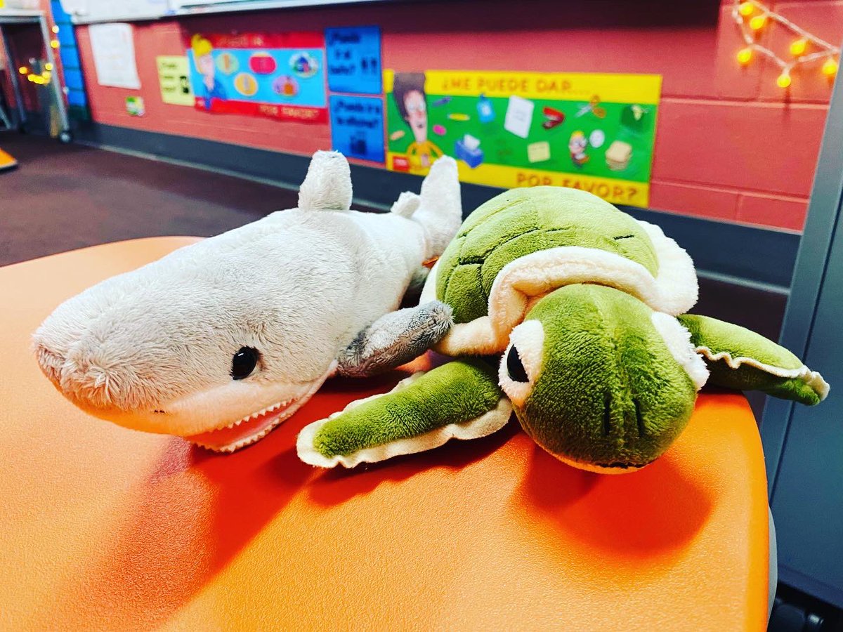 Yesterday we reviewed a few chapters of our book with ‘papa caliente’ (hot potato). 🔥🥔 It was fun &amp; competitive! Sr. Tortuga 🐢 and Sr. Tiburón 🦈 (future characters) were our ‘papas’. 😄 It was a great for reading ‘trick’ for fluency practice too! 🙌🏻 #hereatgemini