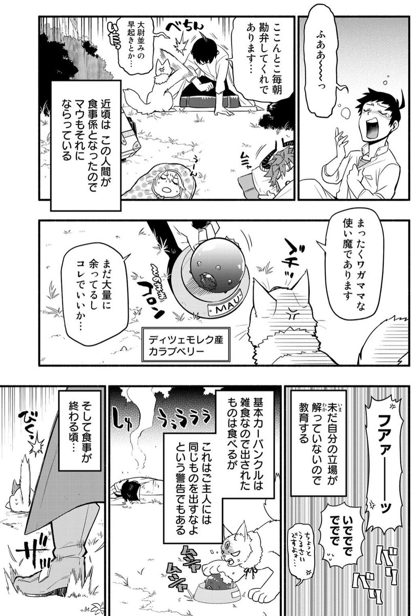 #ウチの使い魔がすみません /【FILE39.】マウの一日
#マガポケ 無料話更新はマウ回です!
知られざるカーバンクルの1日を追跡。石化系の魔物はどこかで出したかった〜! #ウチつか
https://t.co/TQYpicmn6F 