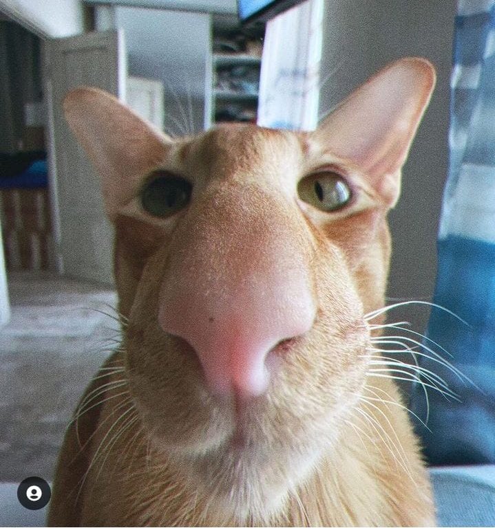qualquer semelhança, é mera coincidência KKKKKKKKKKK <a href="/t3ddyyyyy/">T3ddy</a>