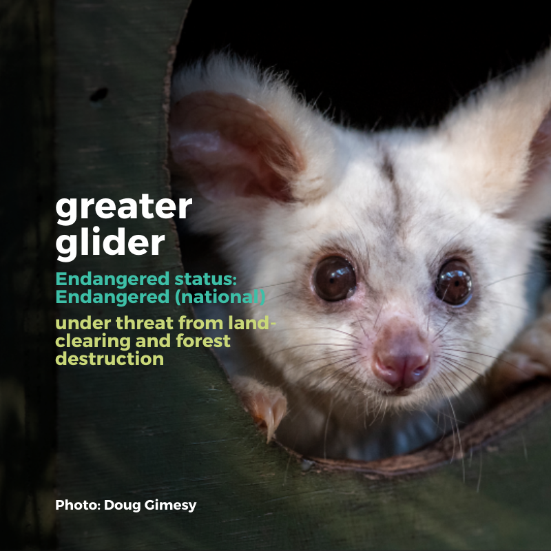 Australian Conservation Foundation tweet media