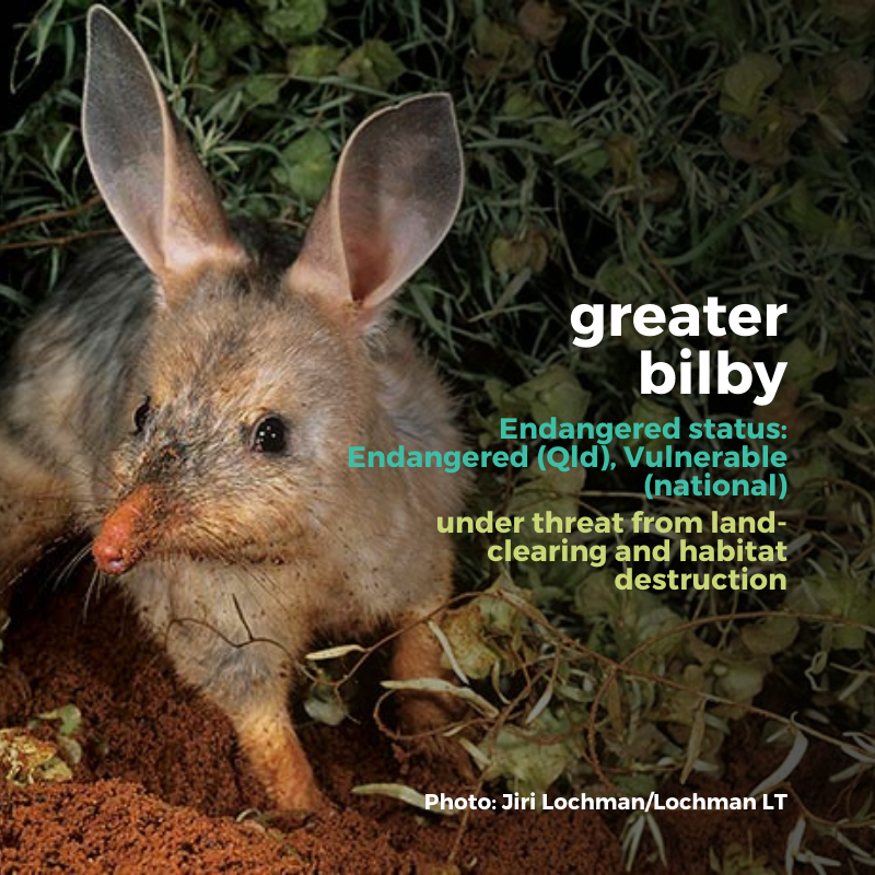 Australian Conservation Foundation tweet media