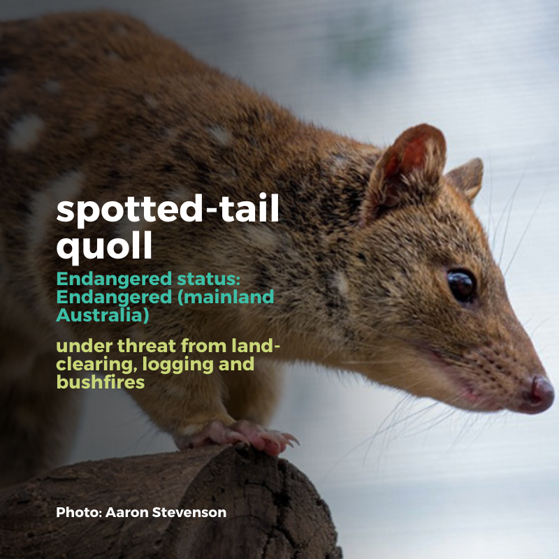 Australian Conservation Foundation tweet media