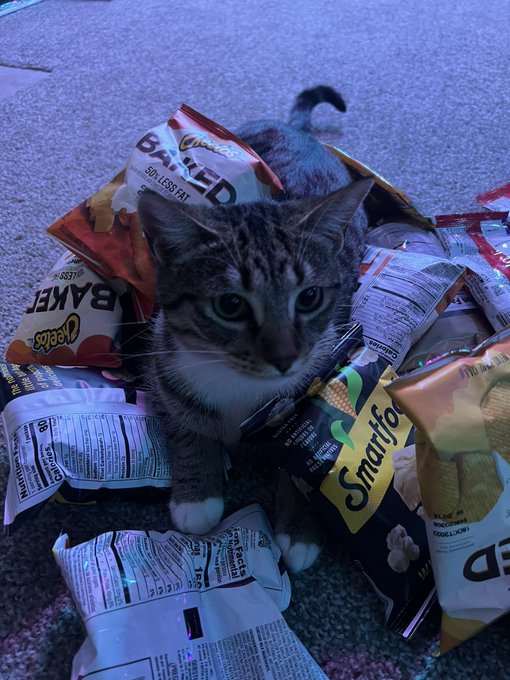 Damn you gonna eat all those snacks bro https://t.co/LPvO7RBp9M<a href="/tag/summer"class="tags"><span>#summer</span></a><a href="/tag/sunny"class="tags"><span>#sunny</span></a><a href="/tag/outdoors"class="tags"><span>#outdoors</span></a><a href="/tag/bubbles"class="tags"><span>#bubbles</span></a>
