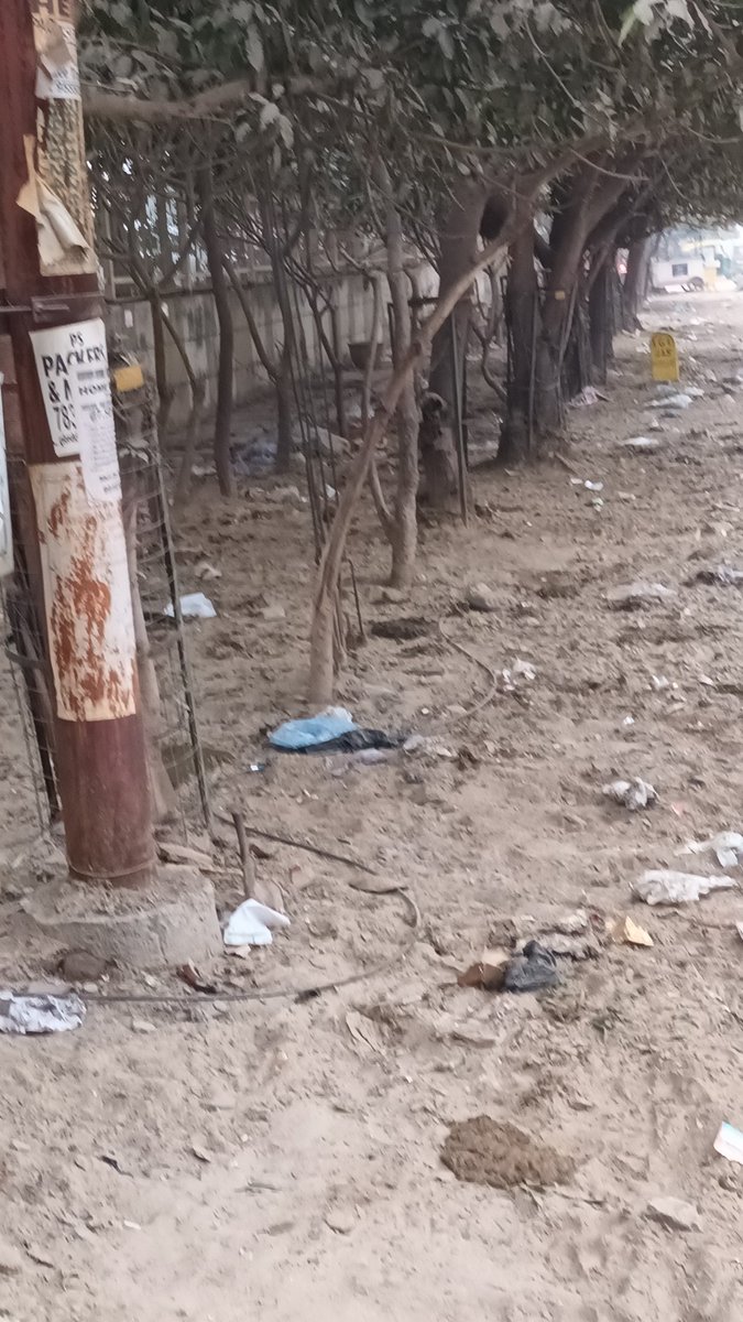 PanchtatvaGNW's tweet photo. @UPGovt @CPCB_OFFICIAL @UppcbN @UPPCBLKO @OfficialGNIDA @CeoNoida 
कृपया संबंध विभाग को निर्देशित कर के इन पेडो को लोहे की जालियों से निजात दें..ये इनके तनों में घुस रही हैं #Habitech #Panchtatva #Noida #extension https://t.co/Z83g1XMoiB
